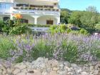 Apartments FRGACIC GORAN, Baska Island Krk